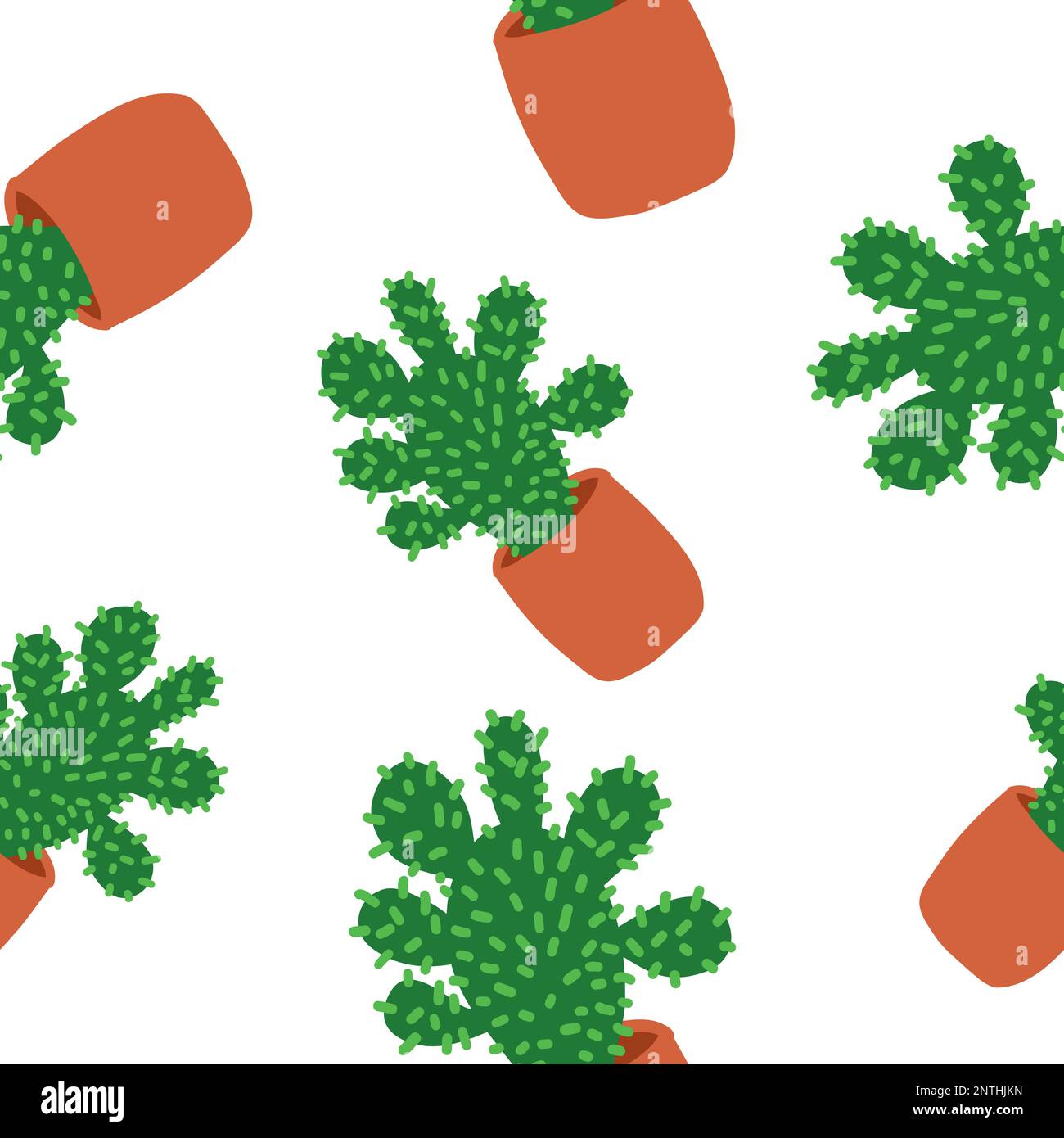 Cacti pattern. Vector illustration in cartoon flat style isolated on ...