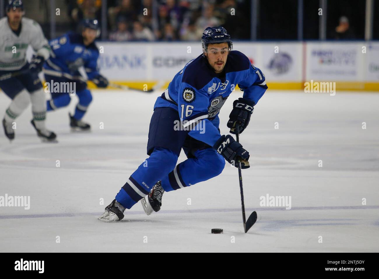 Jacksonville Icemen mascot Fang performs during the game between