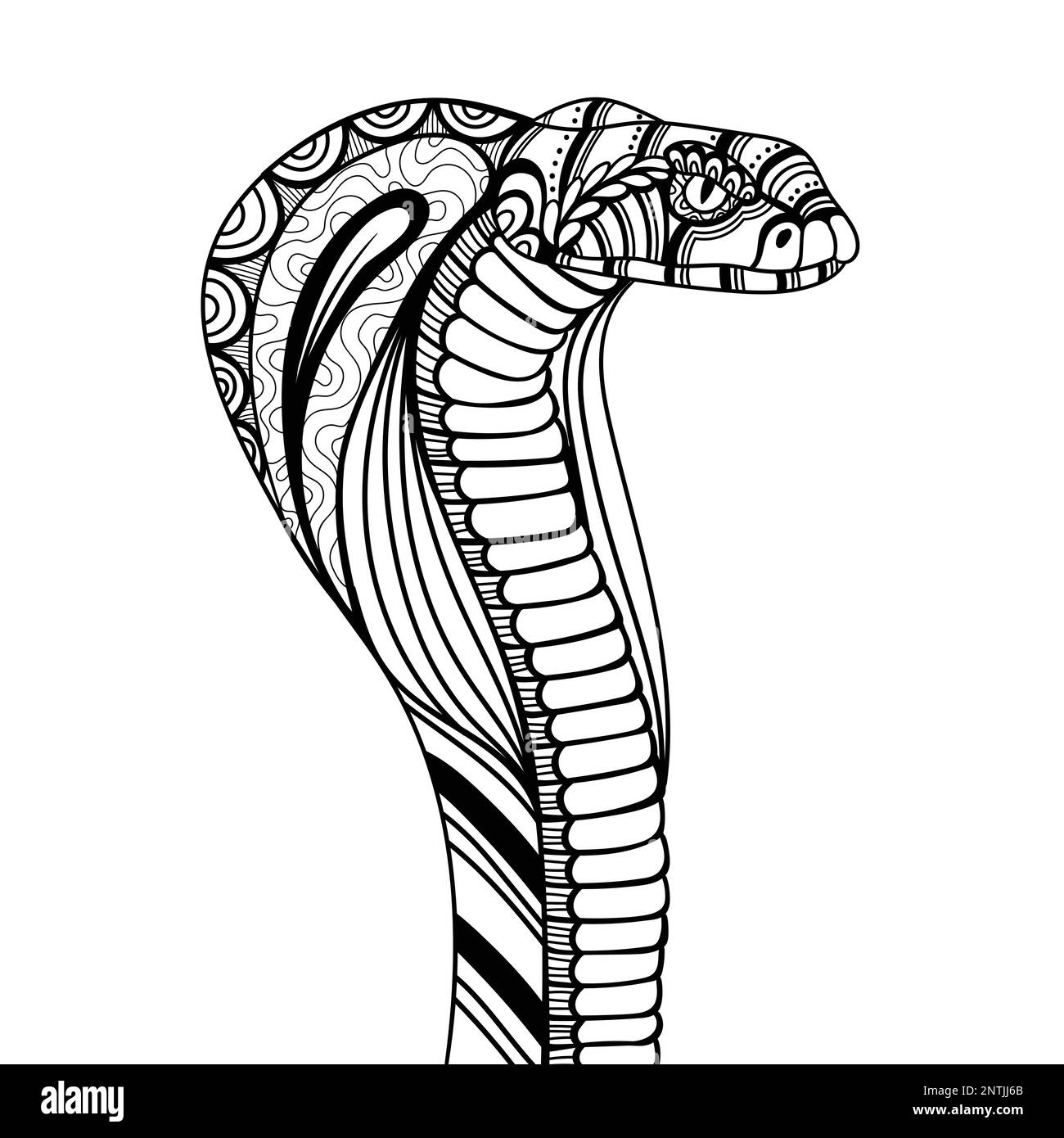 Snake cobra side position mandala zentangle coloring page illustration for your company or brand Stock Vector