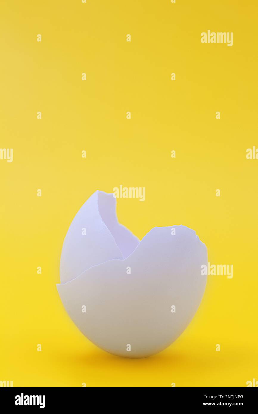 Eggshell on a yellow background. Broken cracked egg. Easter, birth. Copy space Stock Photo