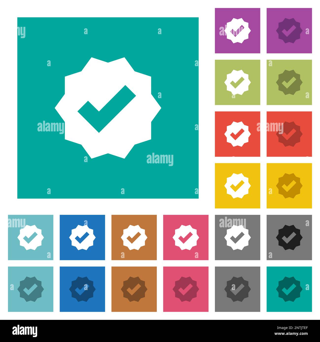Verified sticker solid multi colored flat icons on plain square backgrounds. Included white and darker icon variations for hover or active effects. Stock Vector