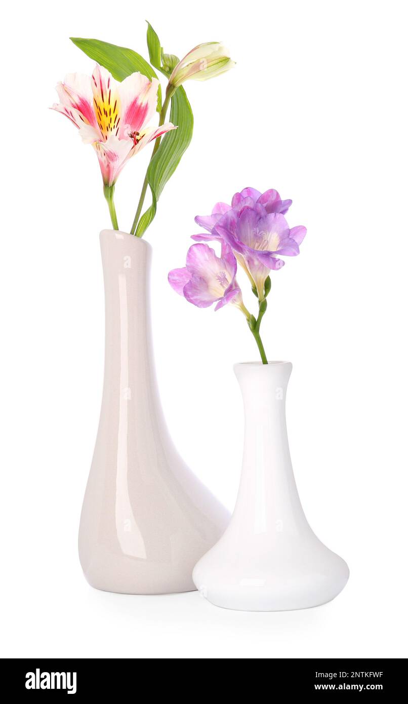 Beautiful fresh flowers in vases on white background Stock Photo - Alamy