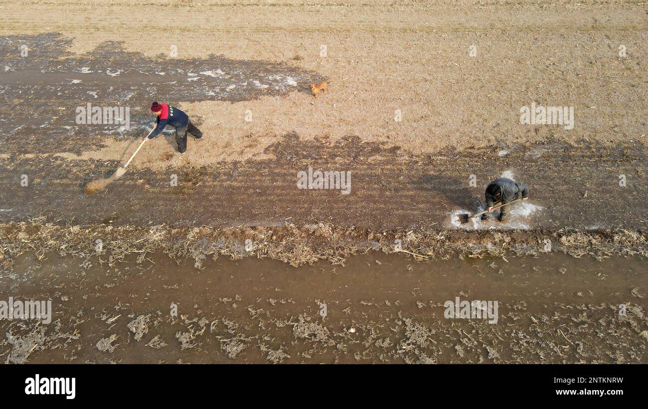 BINZHOU, CHINA - FEBRUARY 28, 2023 - Farmers irrigate their land with water in Huimin County, Binzhou City, Shandong Province, China, Feb 28, 2023. Stock Photo