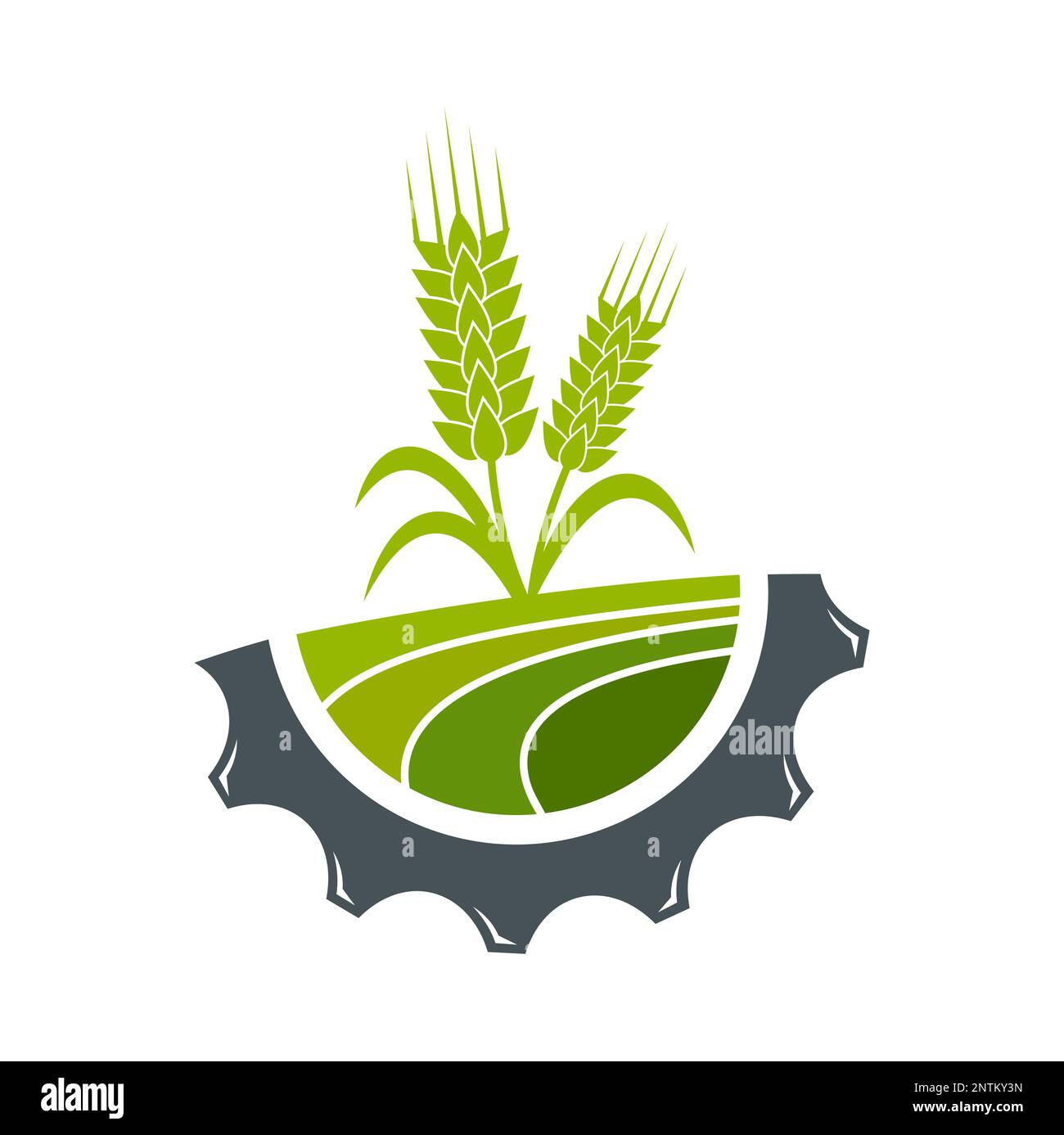 Agriculture icon. Field of wheat. Cereals farming, bakery or market,  natural food production or agronomy technology