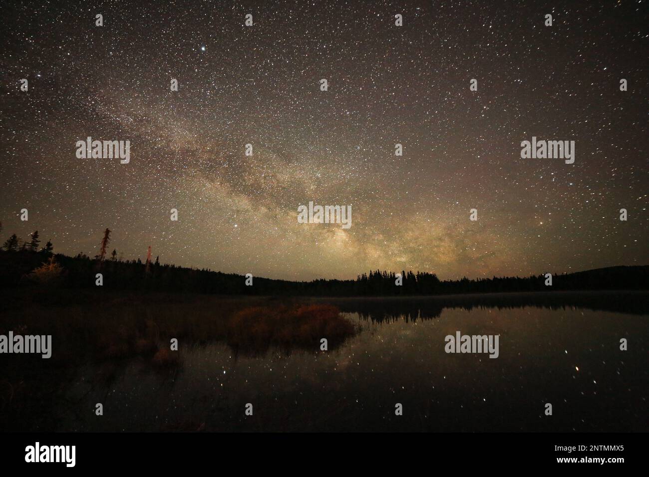 A landscape of a lake under a starry sky with the Milky Way on a night ...
