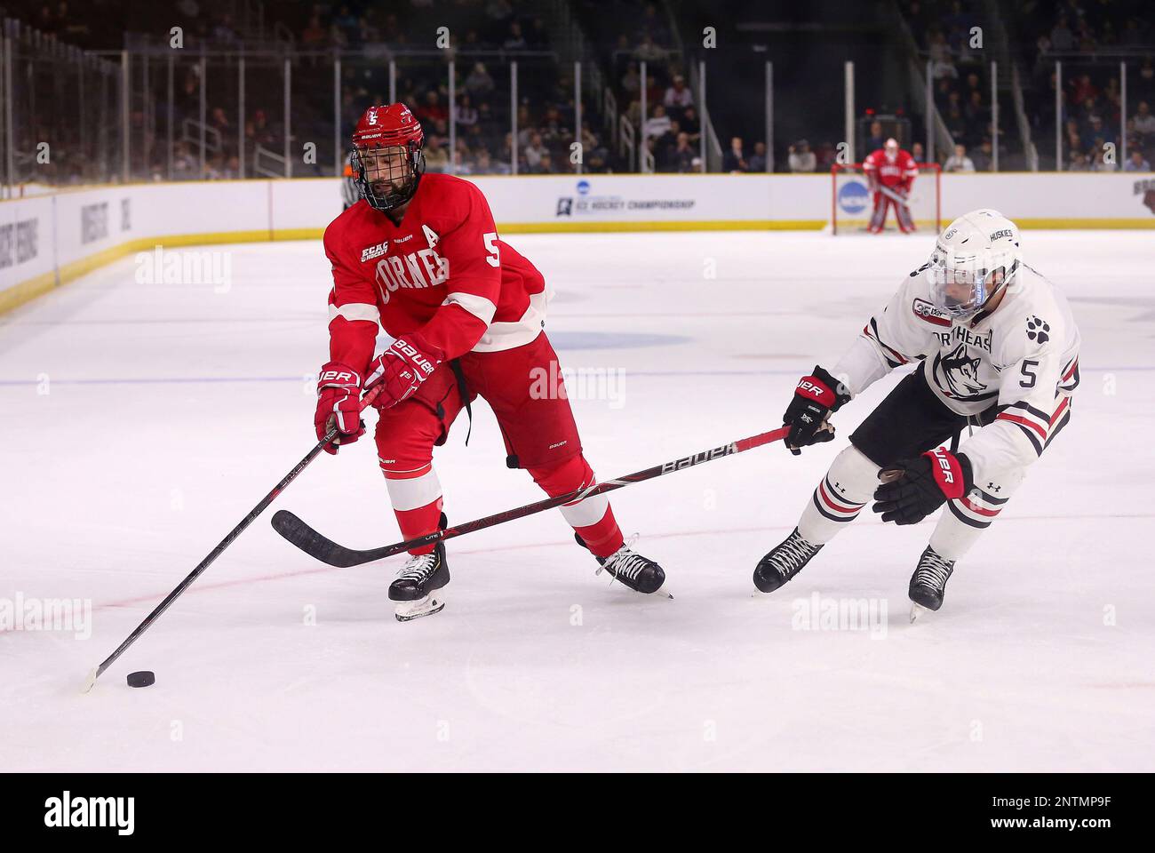 PROVIDENCE, RI - MARCH 30: Cornell Big Red defenseman Matthew Nuttle (5 ...
