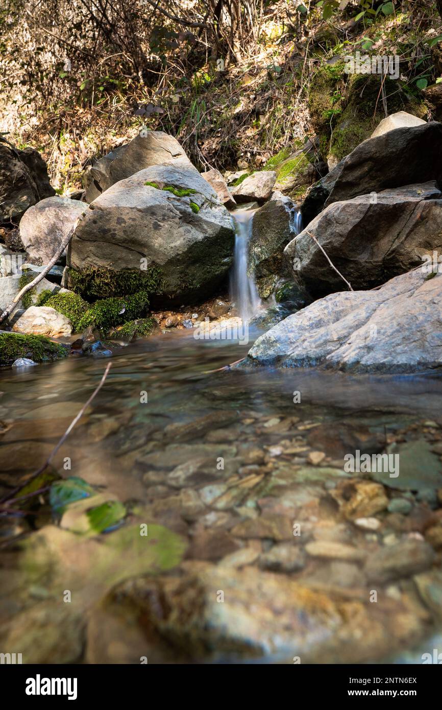 A vertical shot of a waterfall surrounded by trees and rocks in a ...