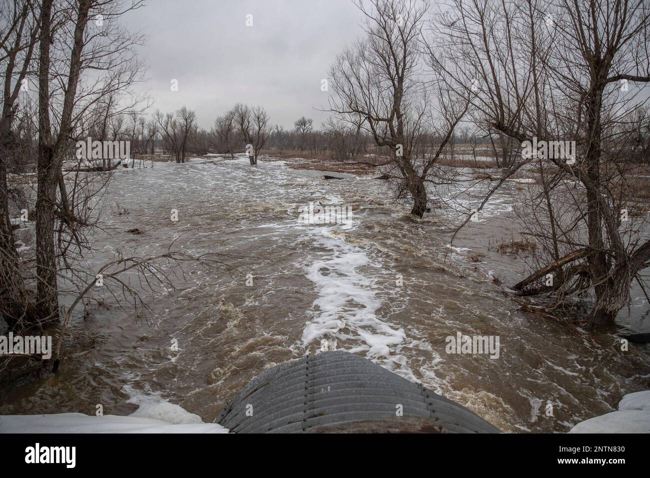 In this Monday, March 25, 2019 photo, water flows through a culvert