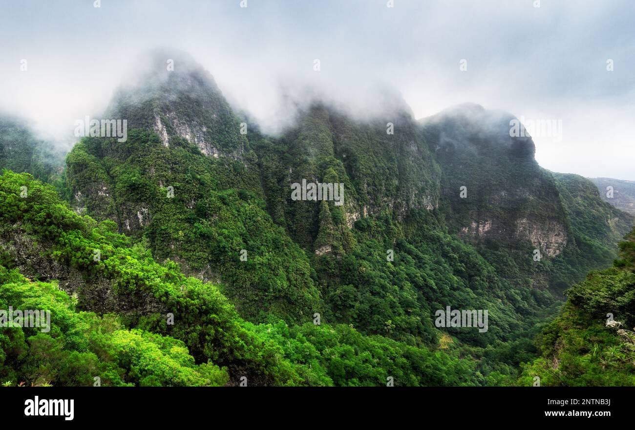 Jungle in Madeira island - Views from the trekking trail on the cliffs at Levada do Caldeirao Verde, Queimadas, Portugal Stock Photo