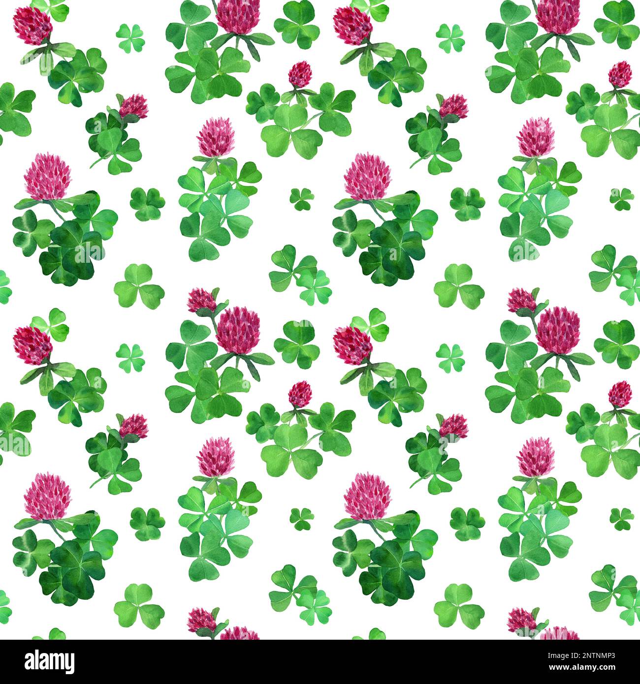 Watercolor clover in bloom seamless pattern. Hand drawn spring background with clover flowers. Design for covers, packaging, textile, print, cards, Stock Photo