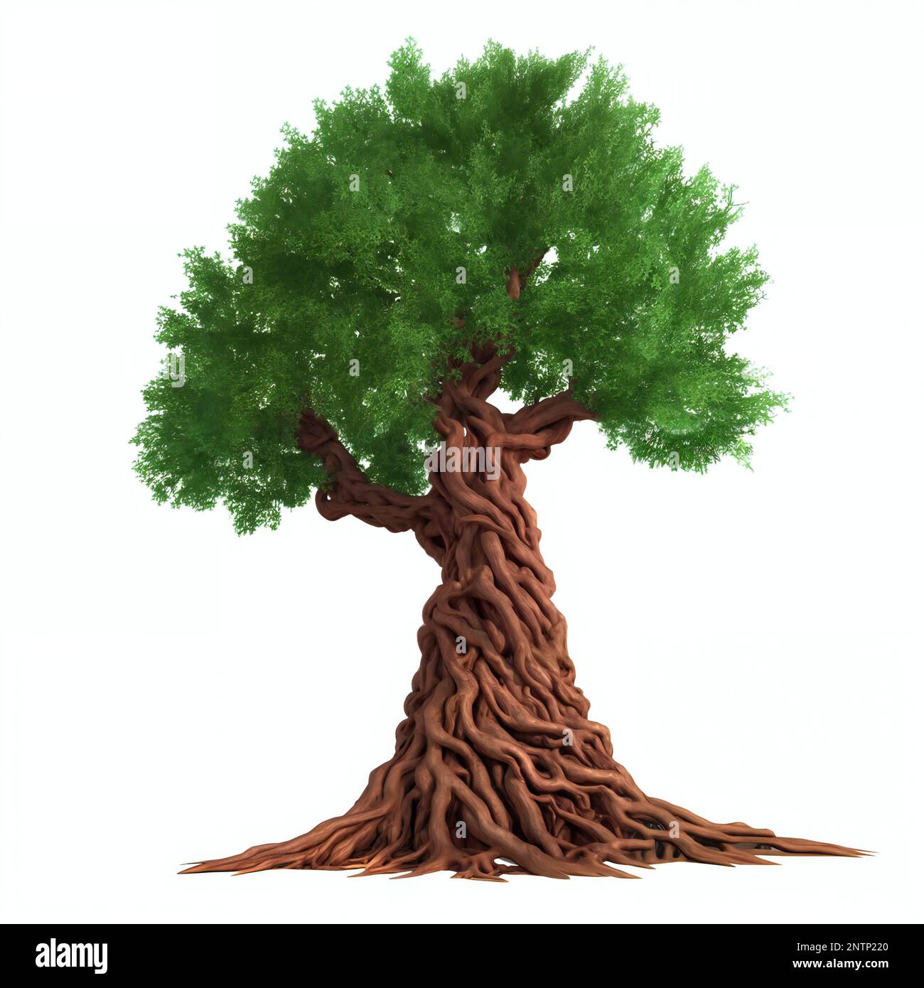 majestic tree, large plant with roots and foliage, isolated on white background Stock Photo
