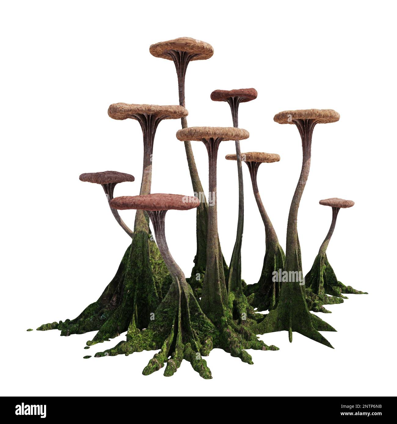 mushrooms, strange alien fungus, isolated on white background Stock Photo