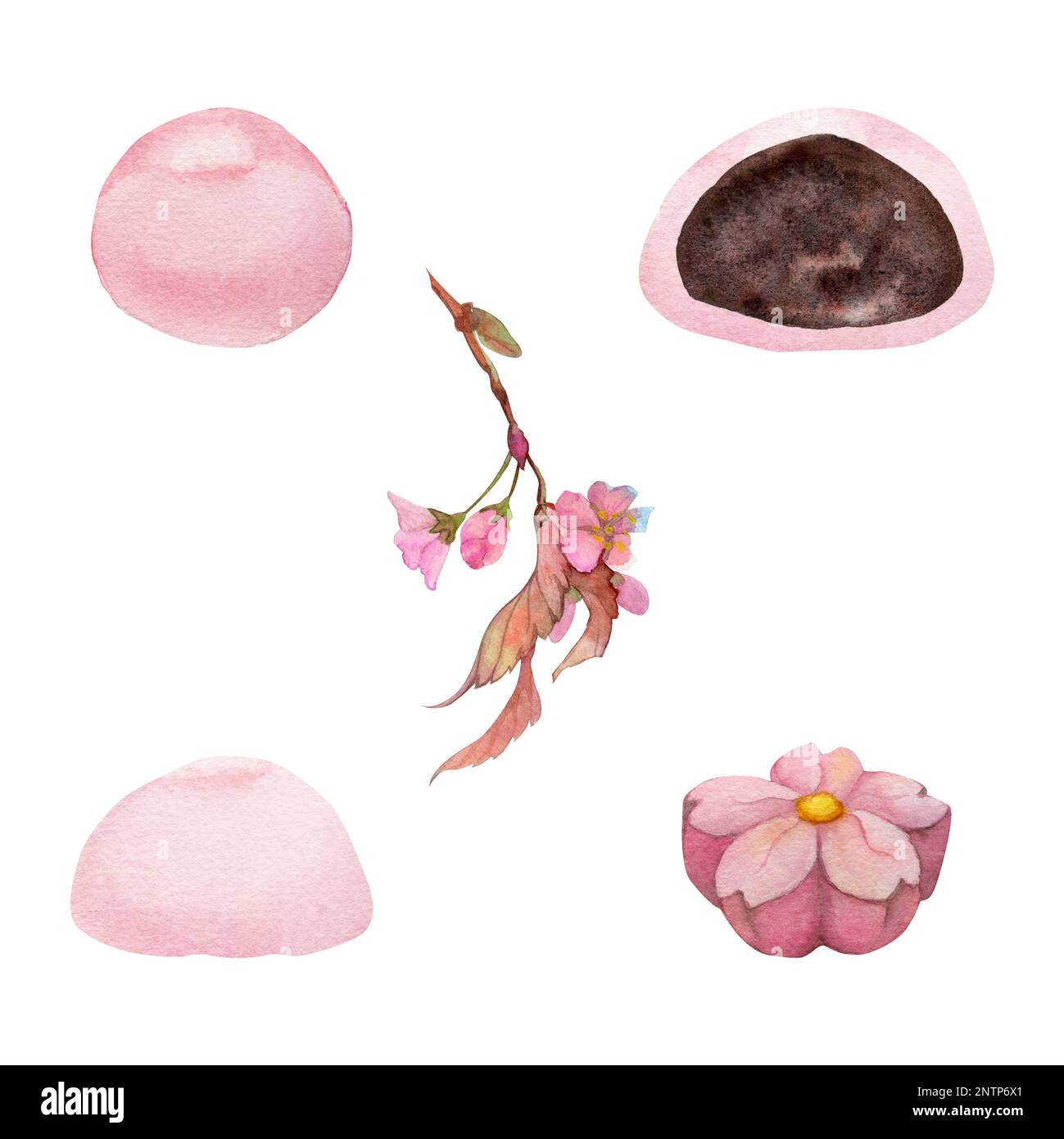 Watercolor hand drawn traditional Japanese sweets. Spring wagashi