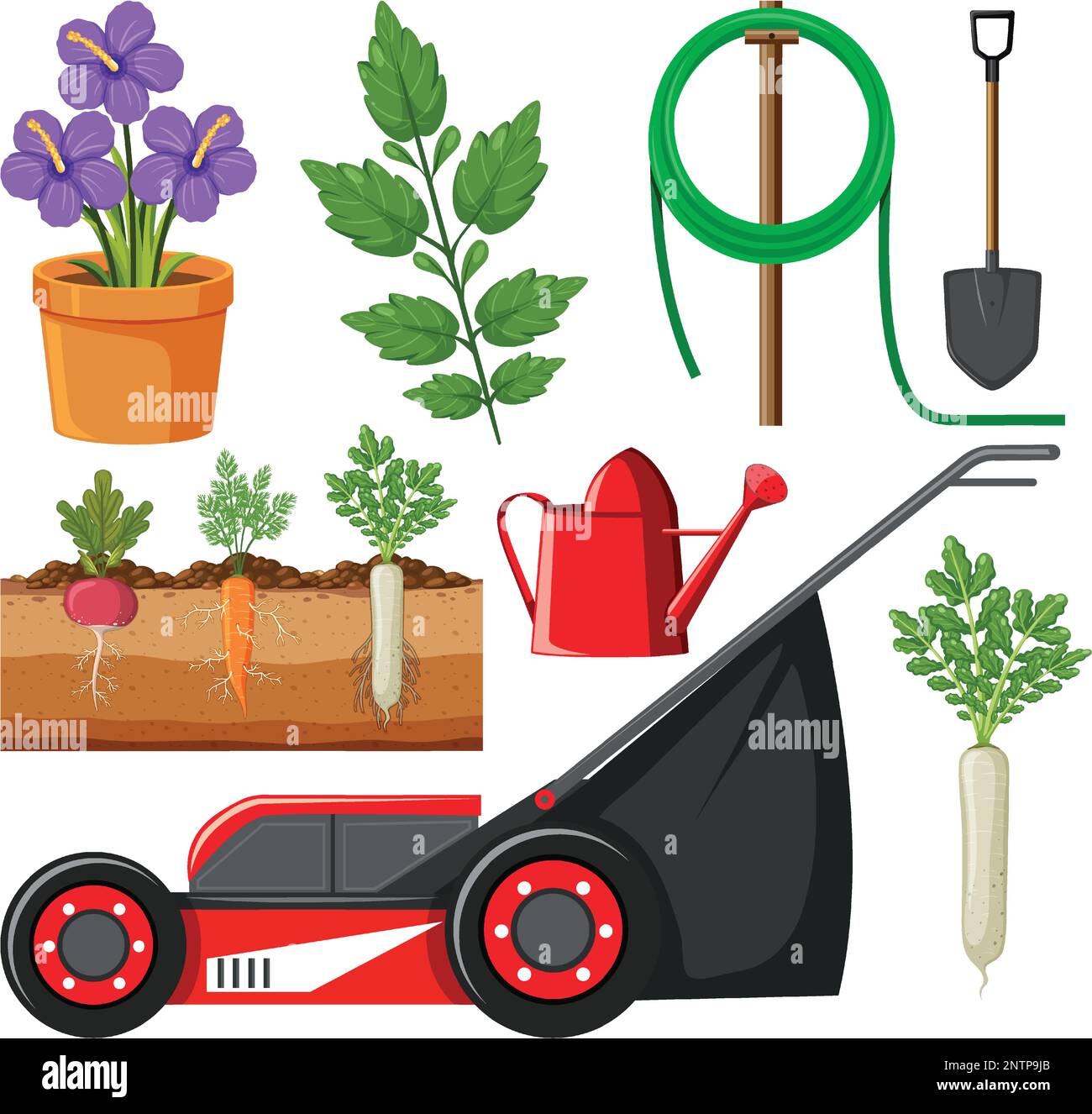 Set of plant and gardening tools and equipment illustration Stock