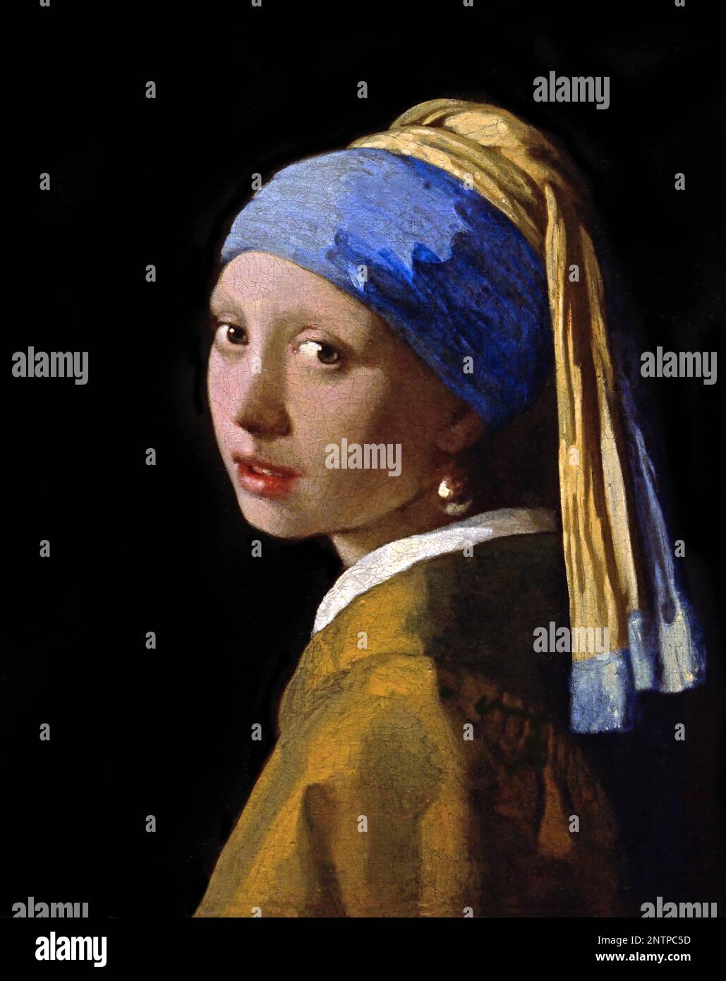 Girl with a Turban (The Girl with a Pearl Earring) by Johannes