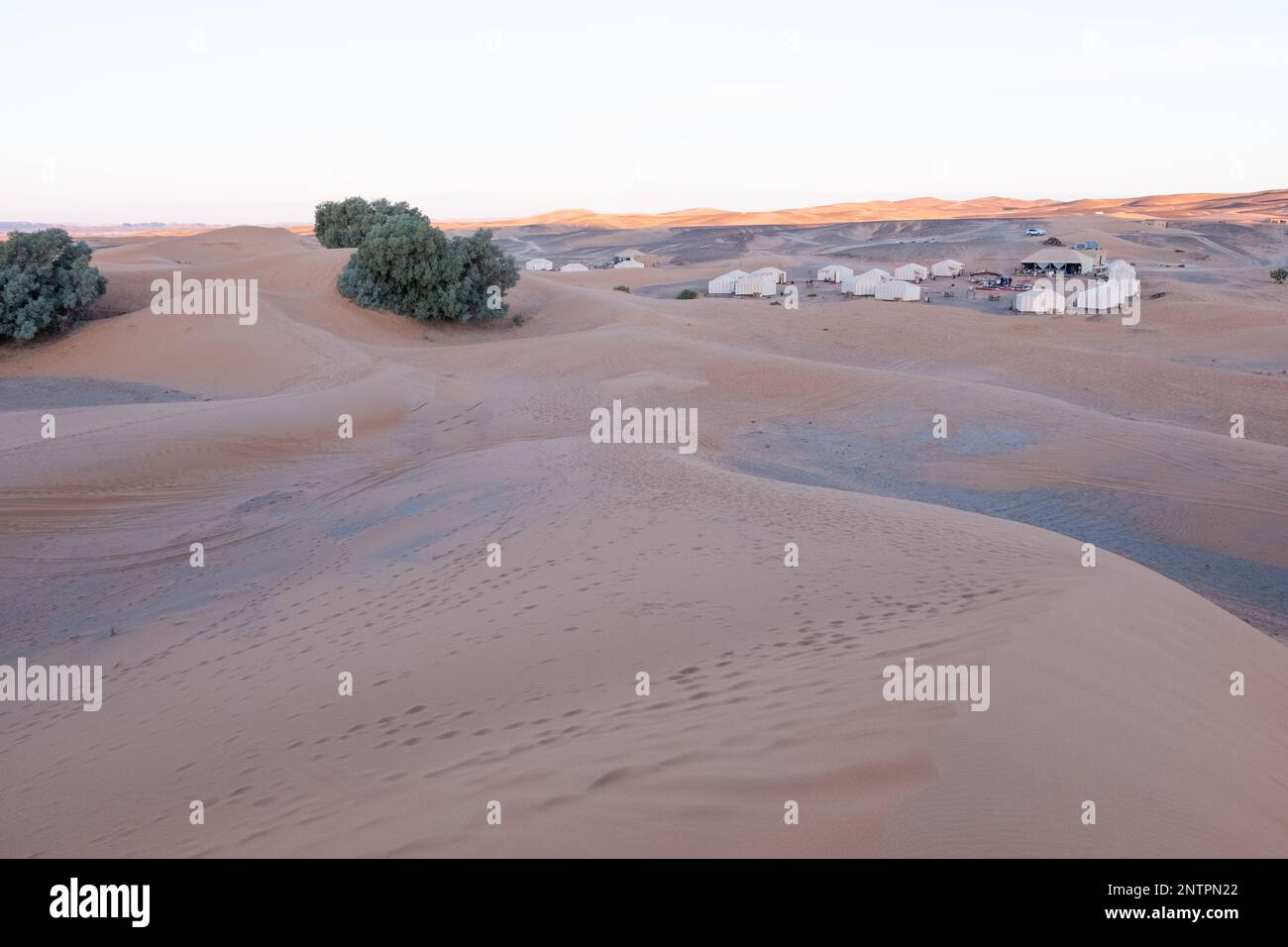 Tomas Cap in Sahara