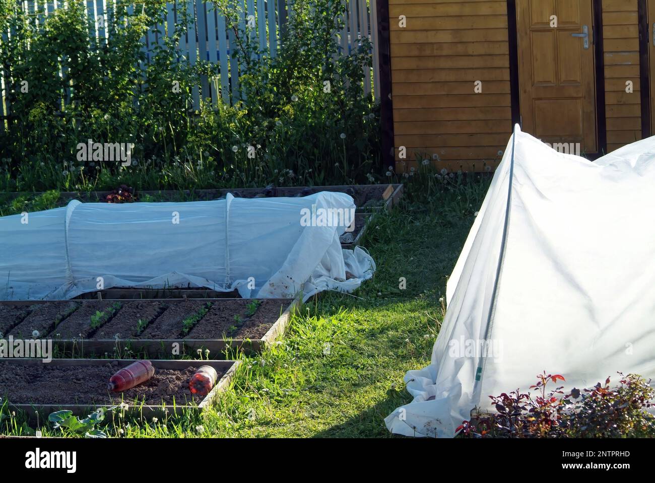 Garden greenhouse in spring hi-res stock photography and images - Alamy