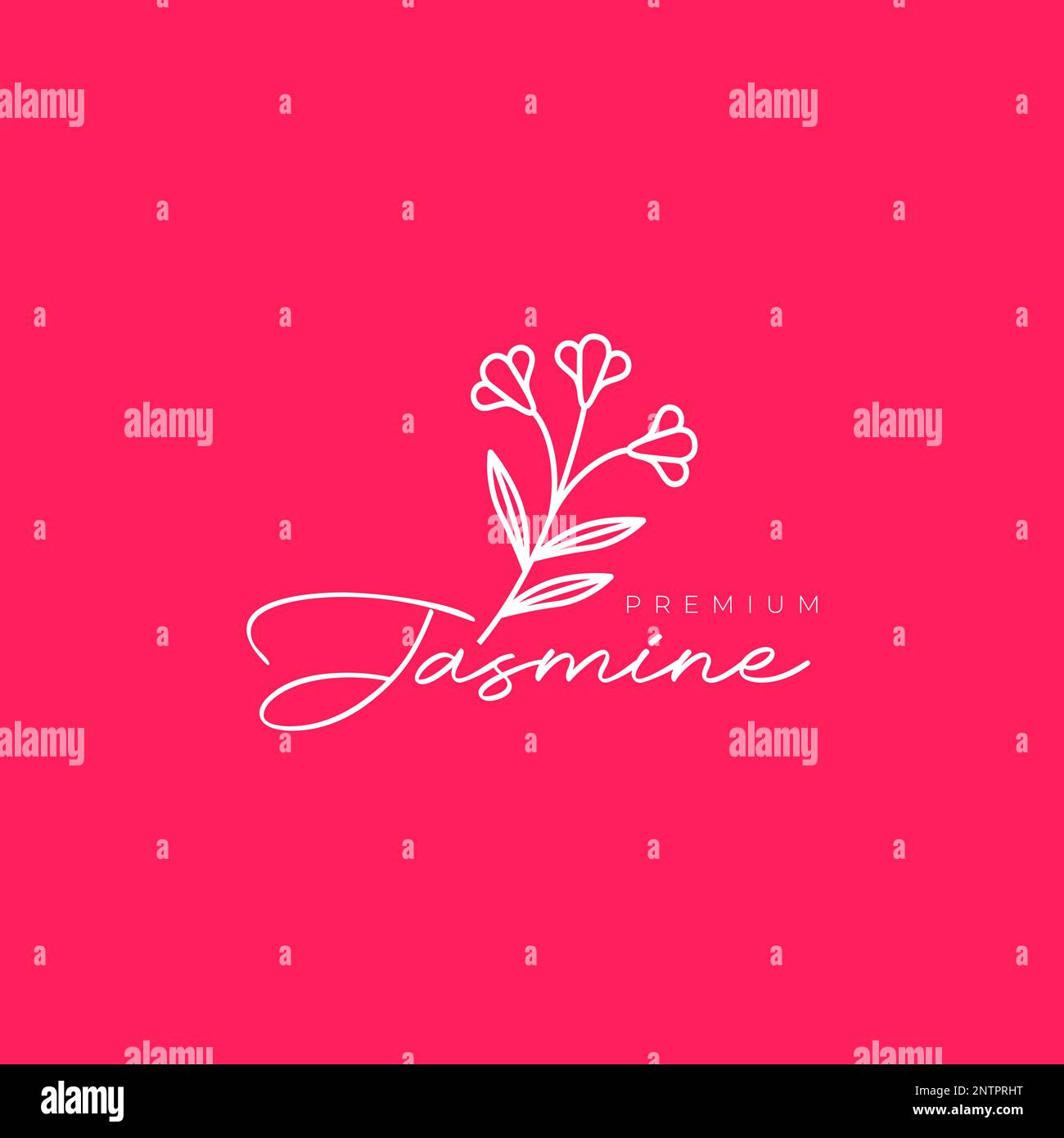 feminine beauty flowers jasmine minimalist line art logo design icon