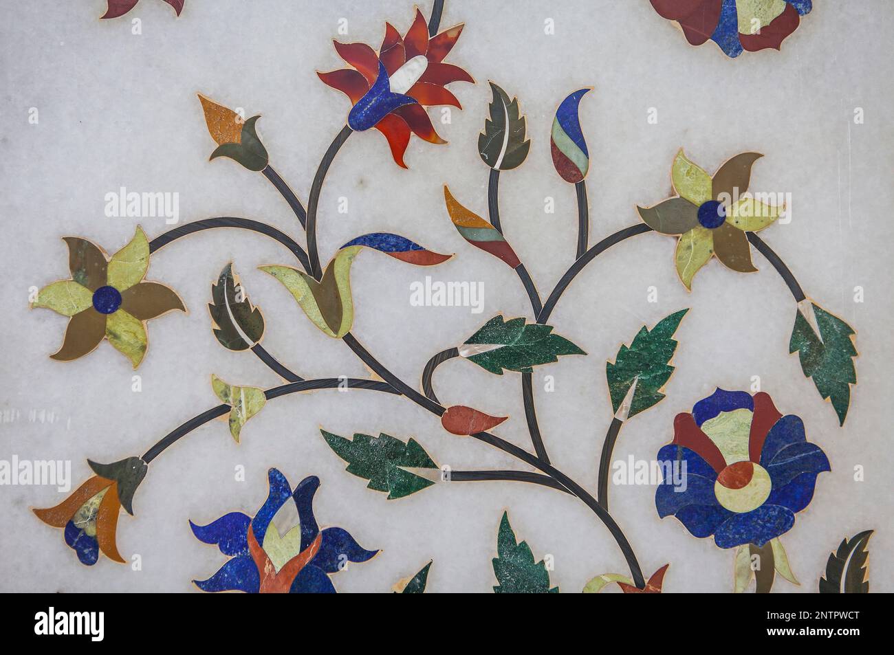 Detail, ornament in the walls of Golden temple, Amritsar, Punjab, India