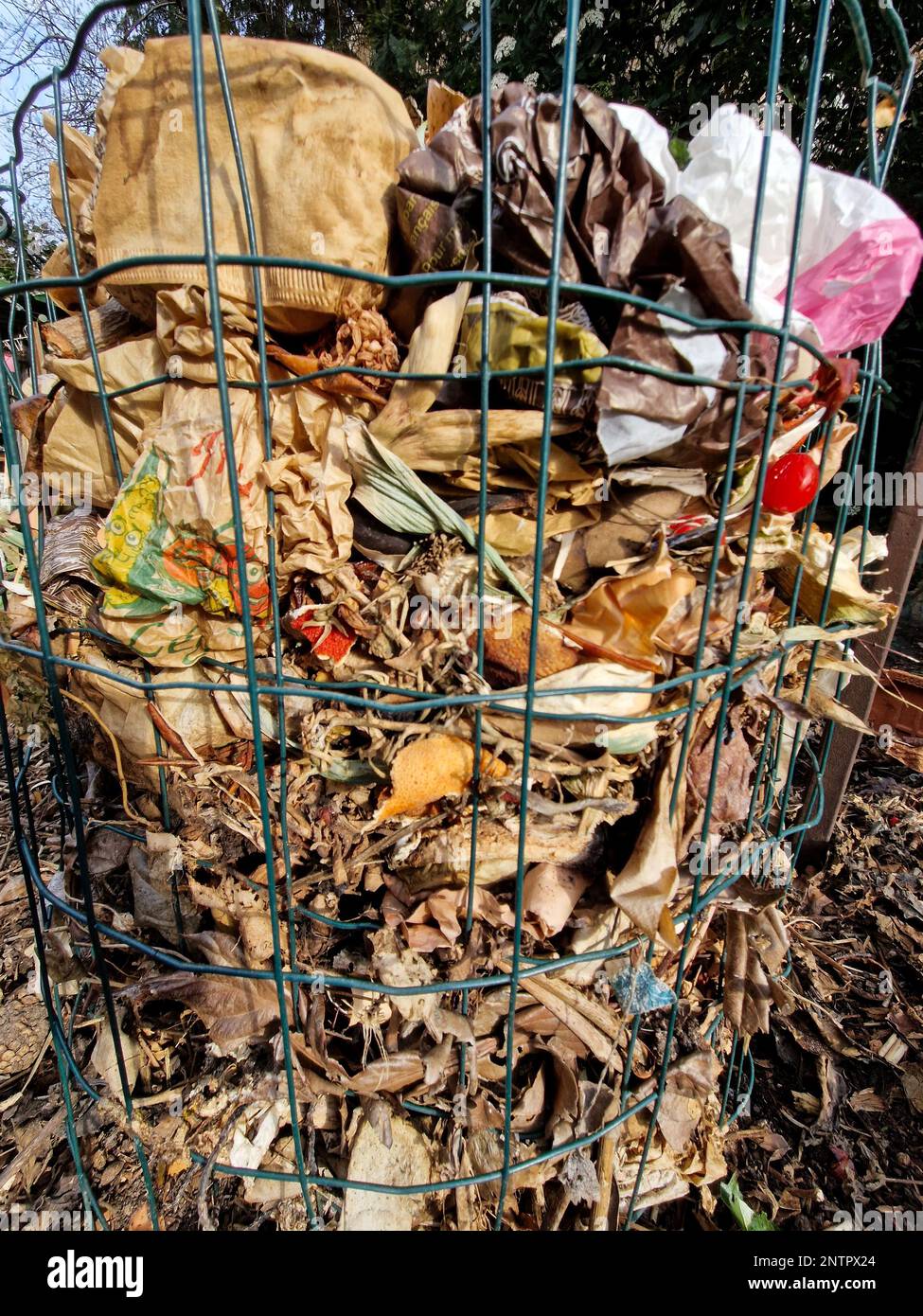 Organic waste in the compost pile of a small keyhole garden, Bron