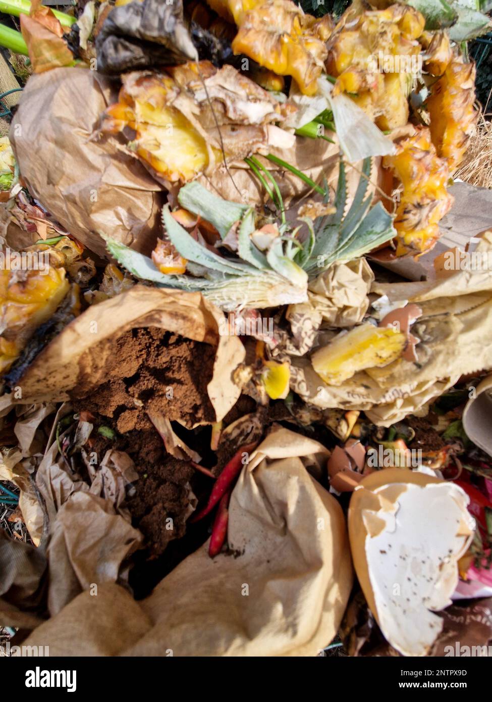 Organic waste in the compost pile of a small keyhole garden, Bron