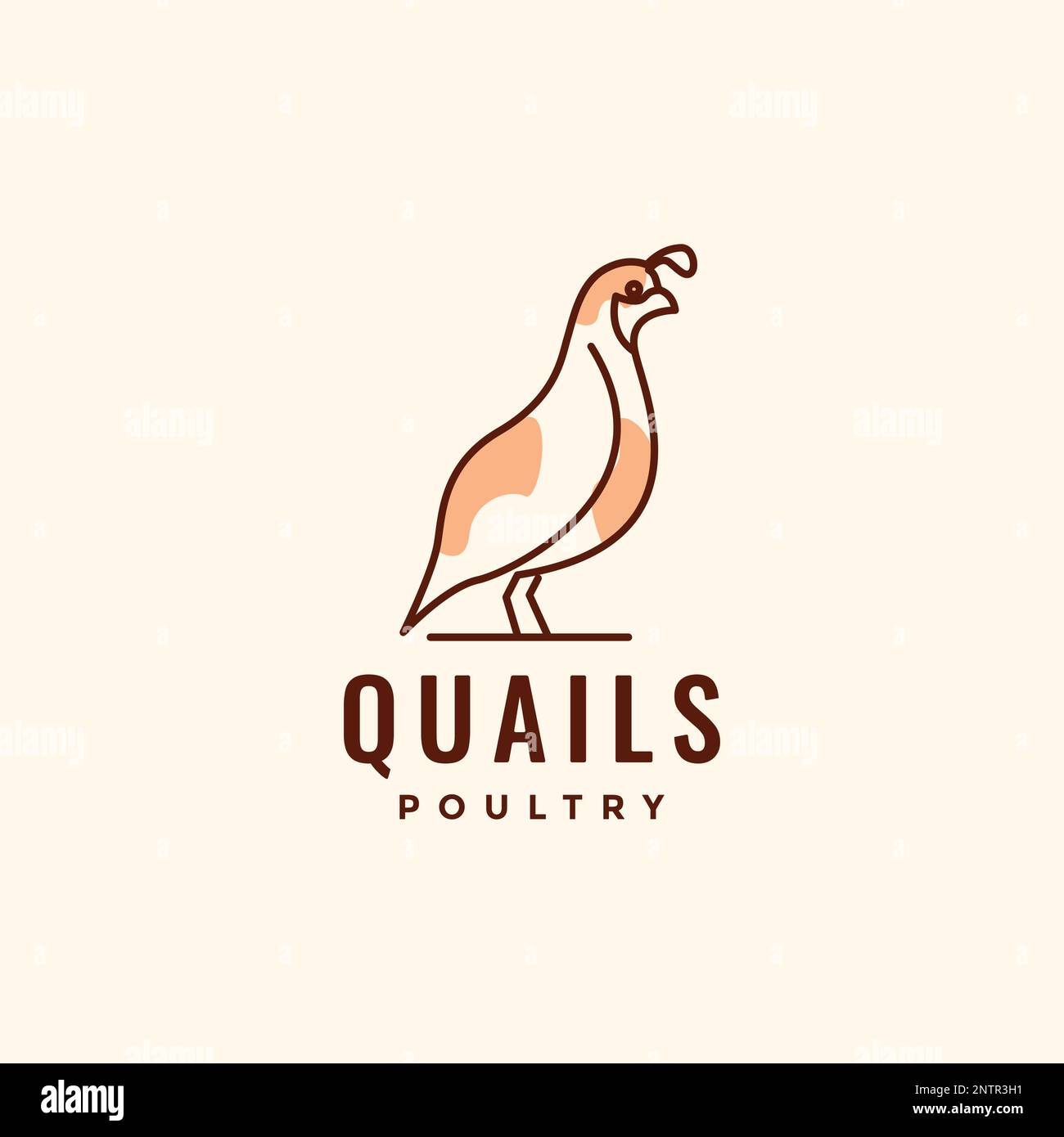 bird quails poultry little chicken meat egg lines abstract modern logo