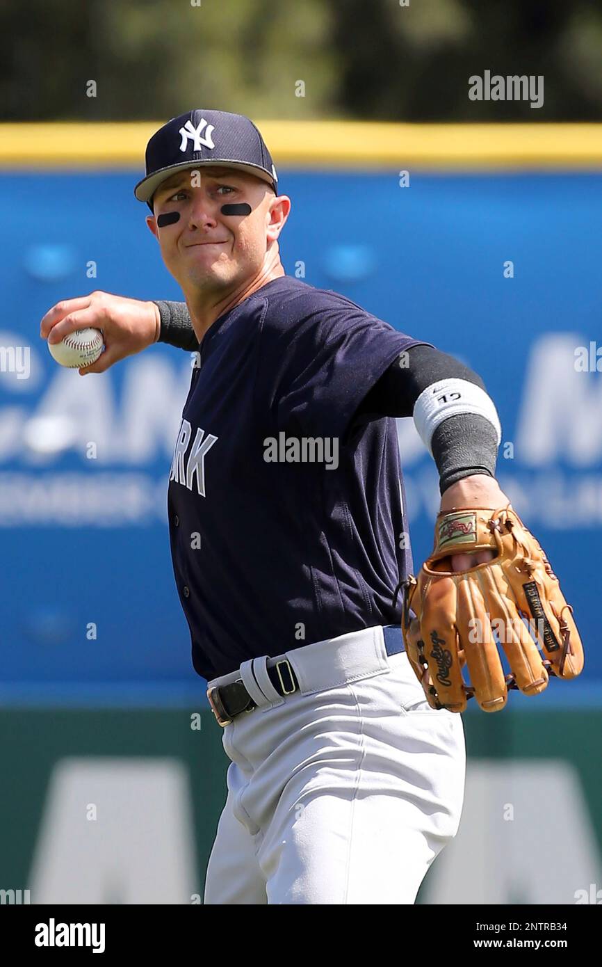 Troy Tulowitzki on his 2019 spring with the Yankees 