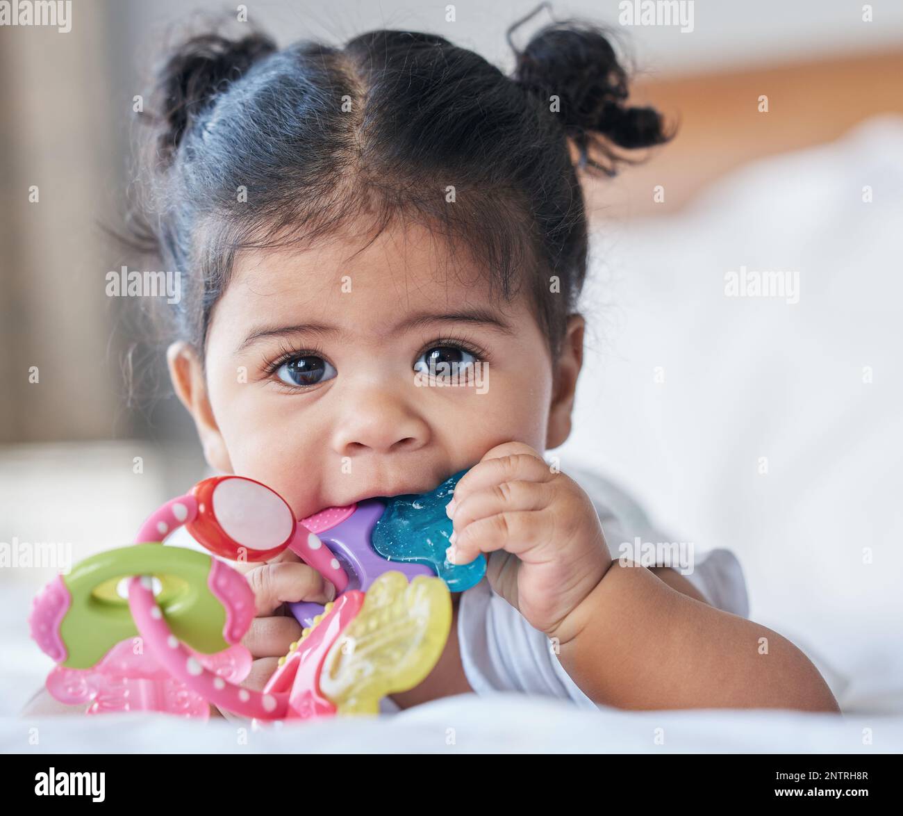 Portrait, baby girl and biting toys in bedroom, house and home for development, growth and teething progress. Cute kid, face and chewing rattle in Stock Photo