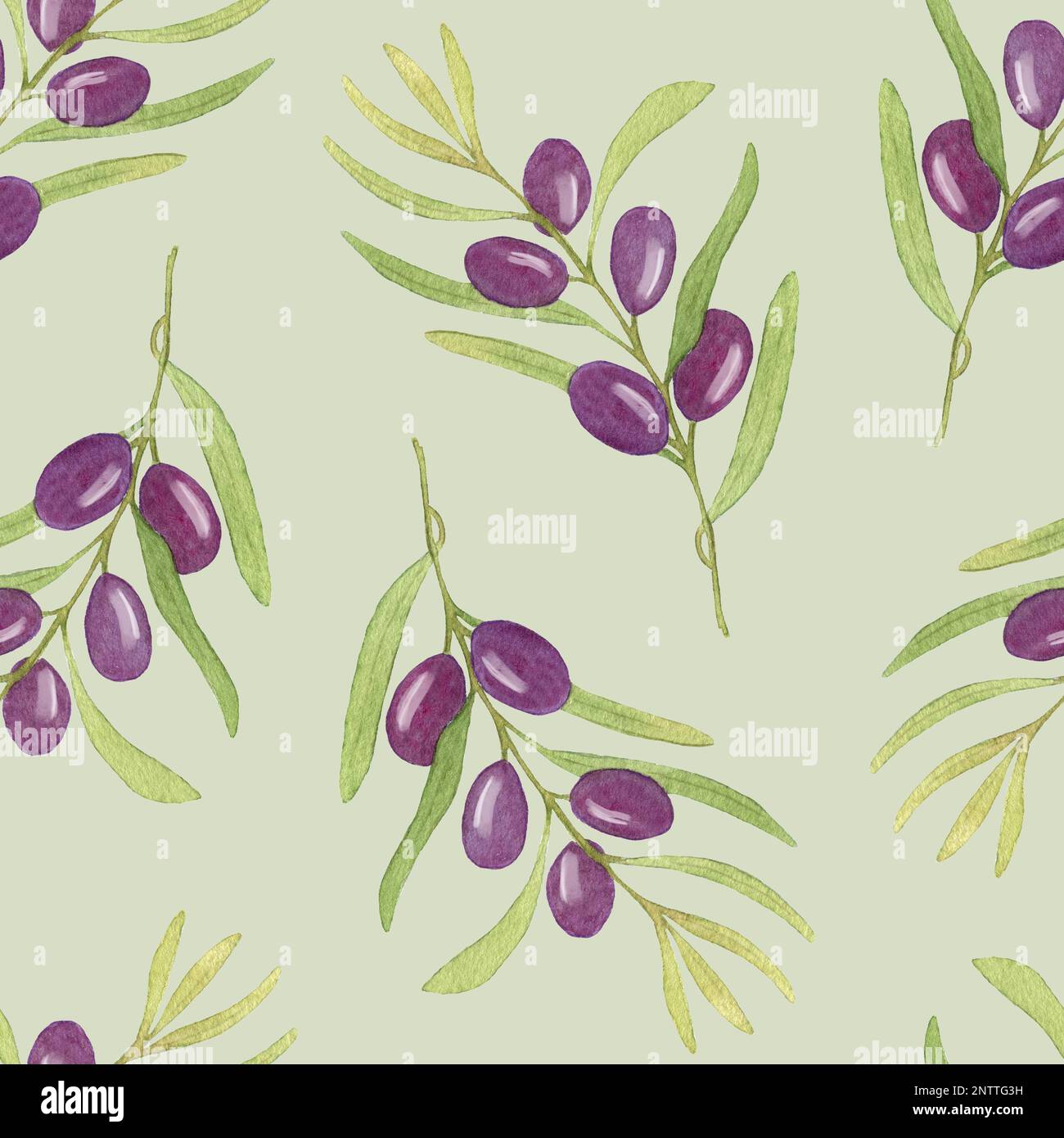 Watercolor seamless pattern with black olives Tree branches. Hand drawn ...