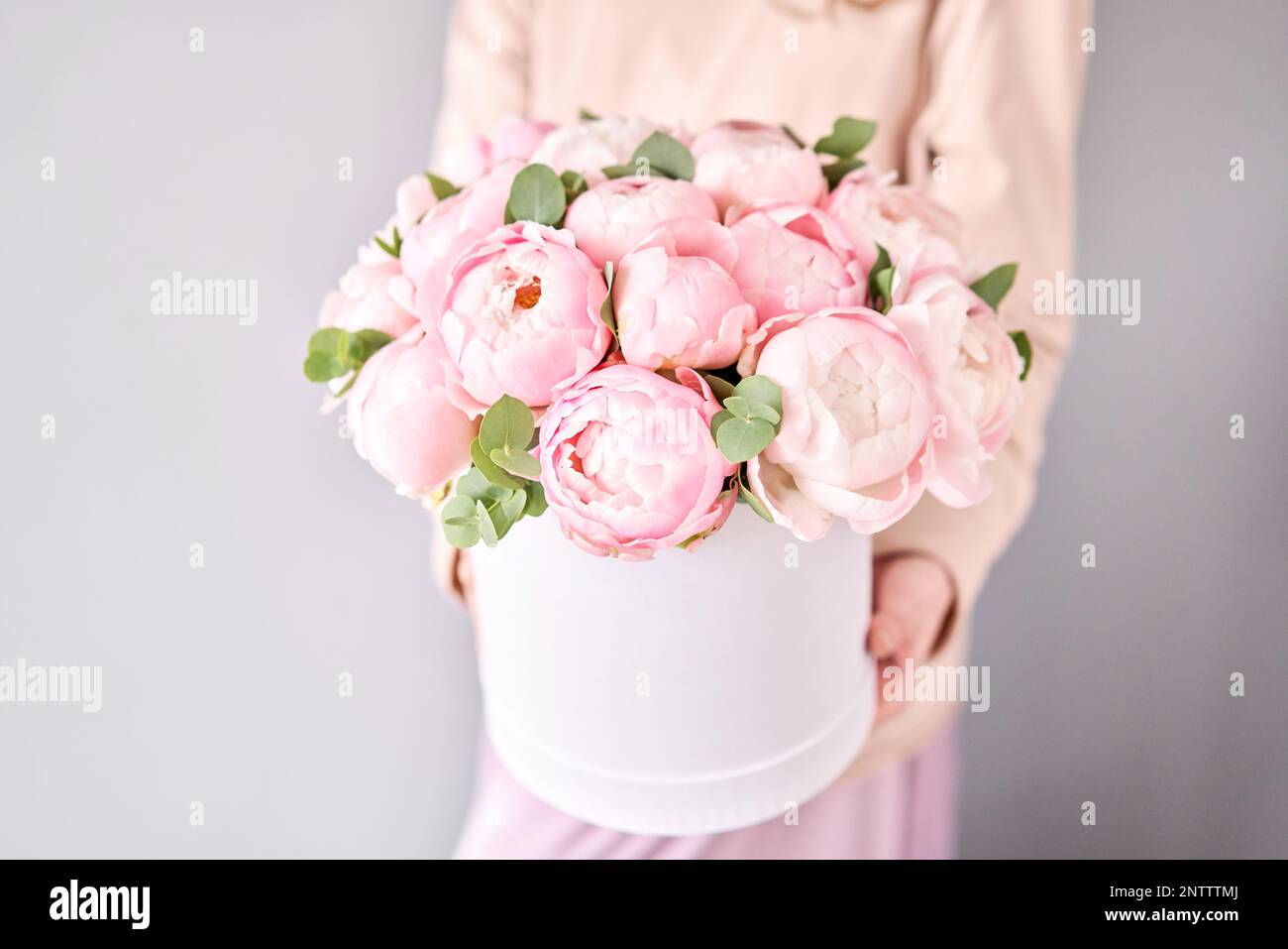 Round box with Bouquet of Pink peonies in a women hand. Beautiful peony ...
