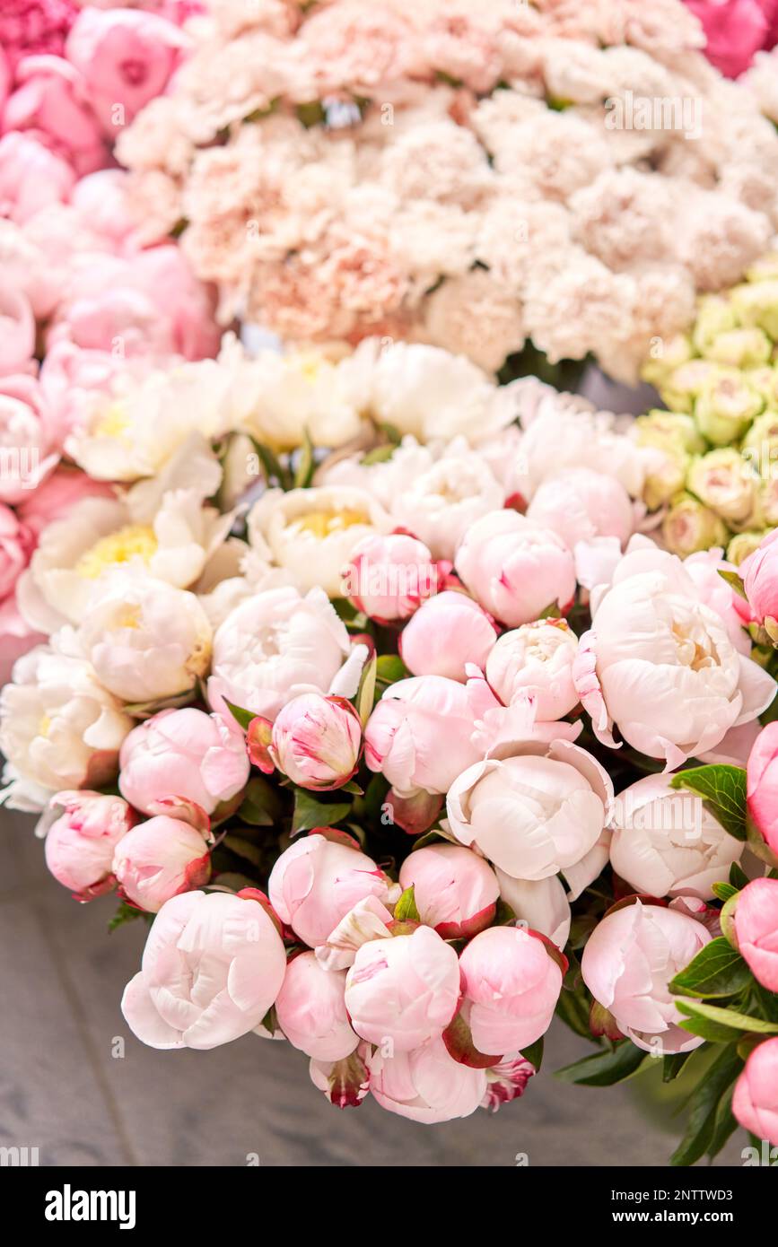 Captivating Best Flower Catalogs Wallpaper Photography Captivating Best Flower Catalogs Wallpaper Photography