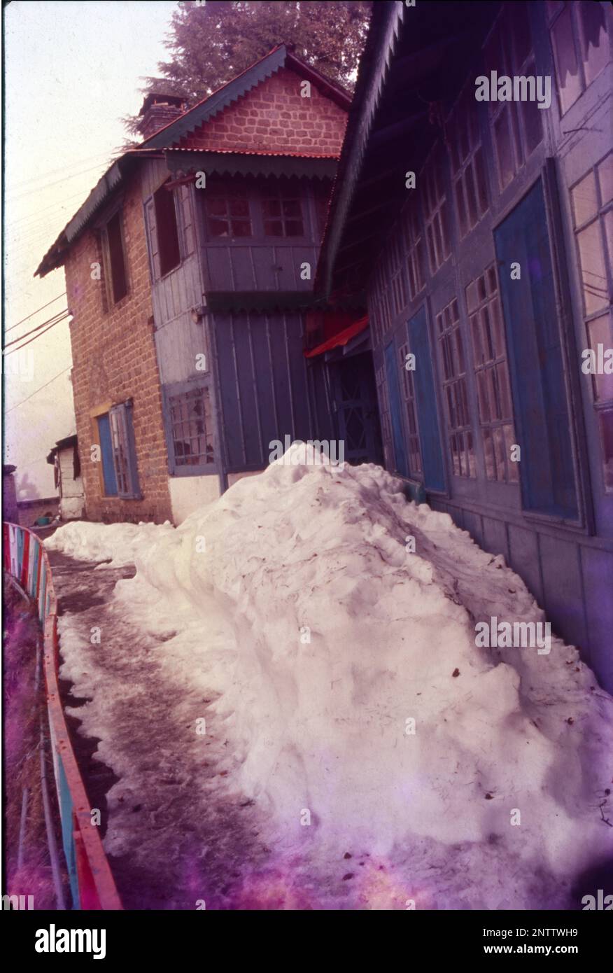 Snow Around the House, Dalhousie, Himachal Pradesh, India Stock Photo