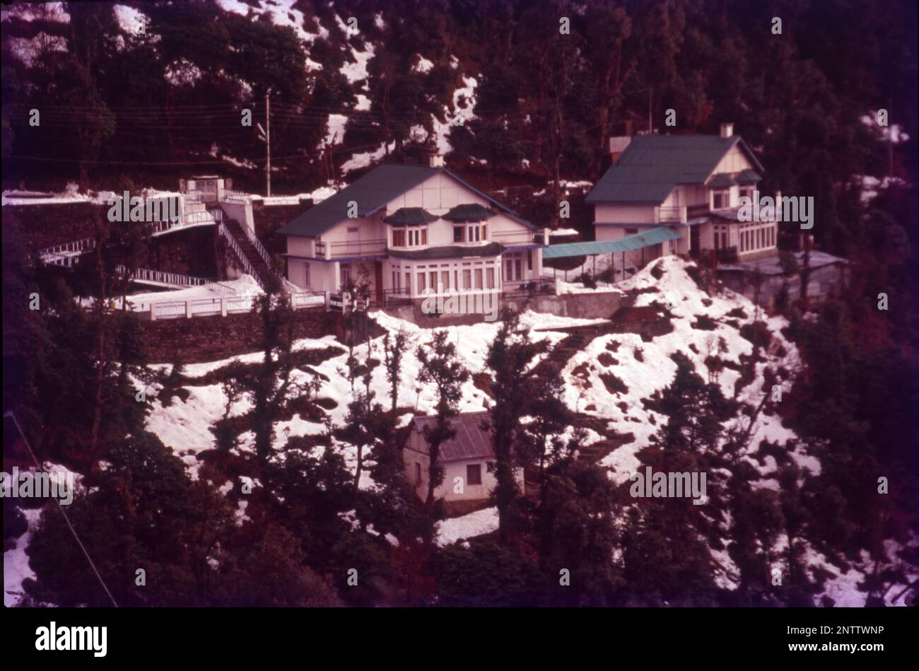 Houses Surrounded by Snow, Dalhousie, Himachal Pradesh, India Stock Photo