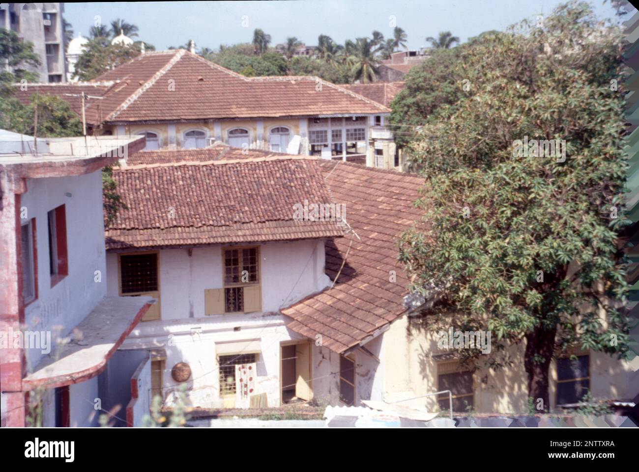 Village Houses, Gujrat, India Stock Photo
