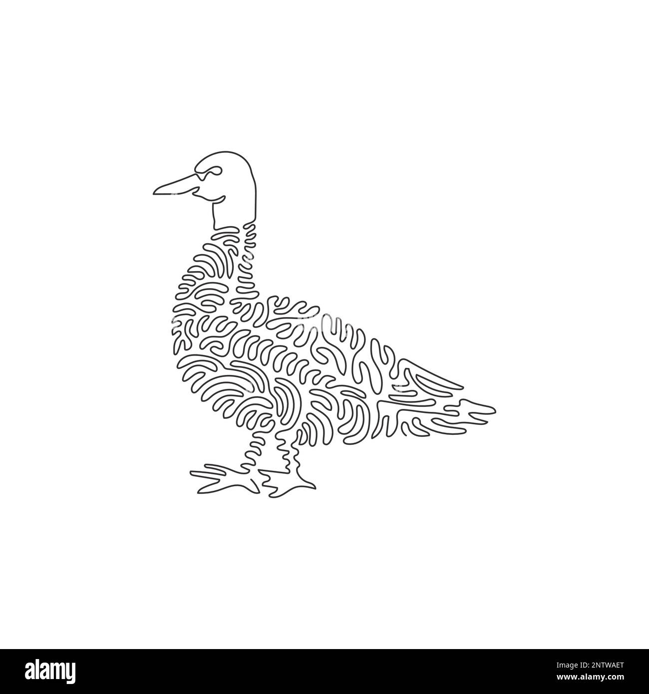 Single one curly line drawing of cute mallard abstract art. Continuous line drawing design vector illustration of common mallard duck in the world Stock Vector