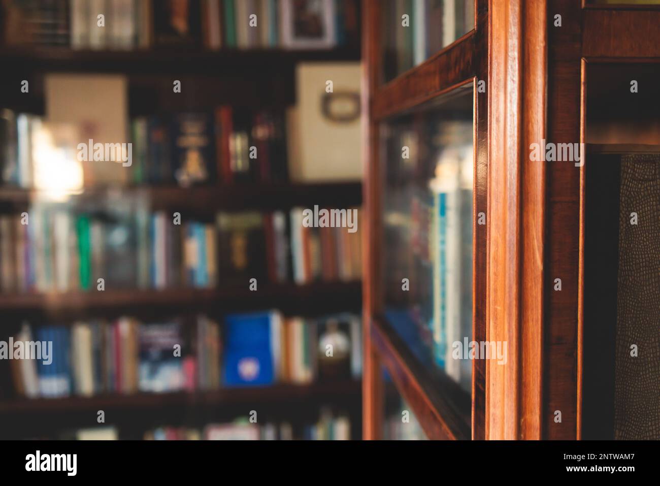 Old university college library interior with a bookshelves catalog, books and bookcase, classic