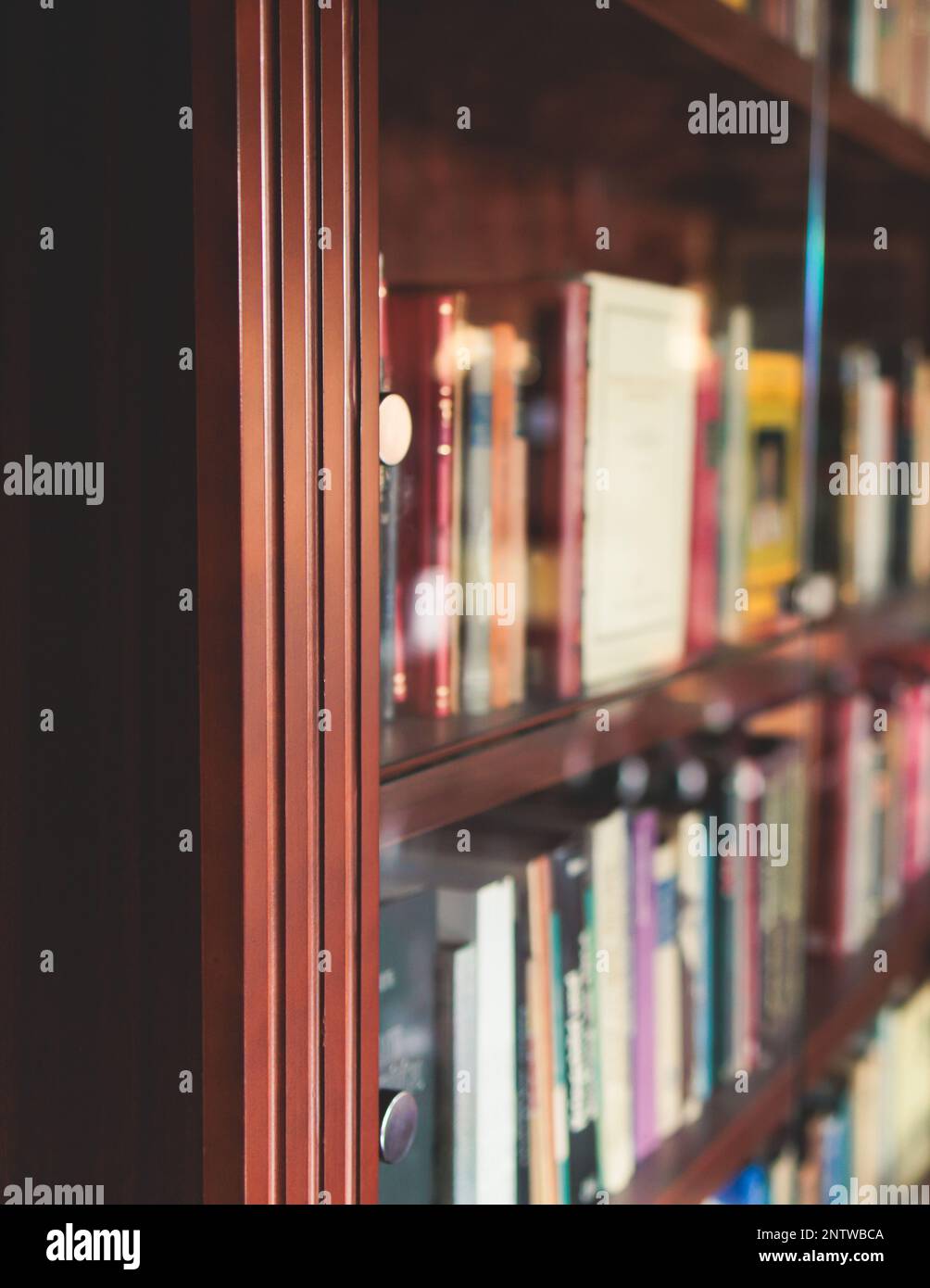 Old university college library interior with a bookshelves catalog, books and bookcase, classic