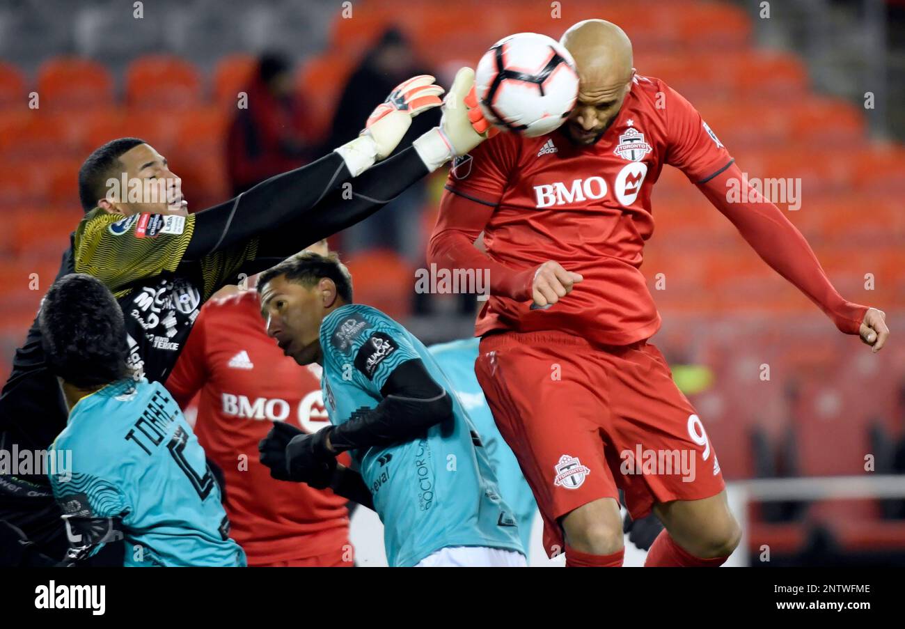 Toronto FC: 7 things to know about Gregory van der Wiel