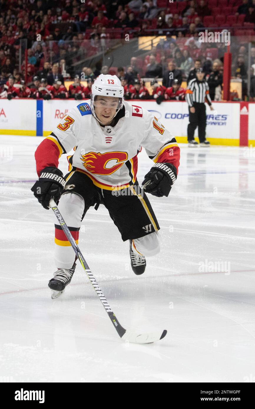 Download Johnny Gaudreau Calgary Flames Ice Hockey NHL Wallpaper