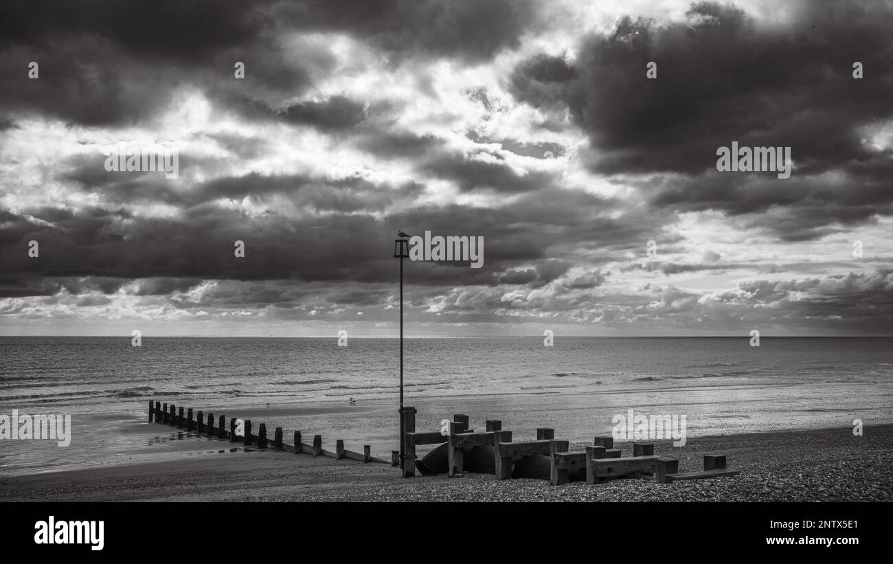 A seagull sits on top of a navigation marker pole attached to an old wooden groyne on the shingle beach at Bognor Regis, West Sussex, UK. Stock Photo