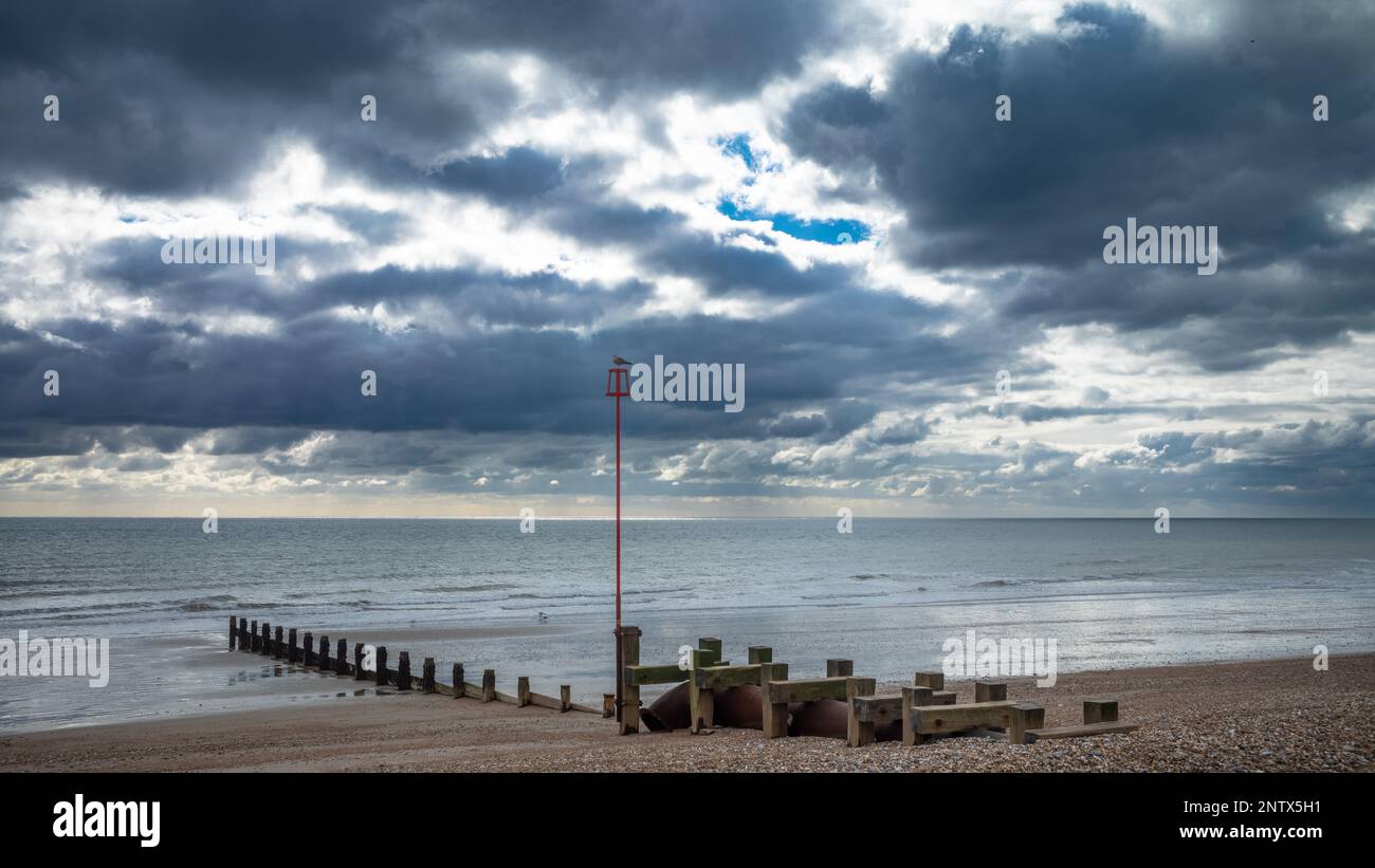 A seagull sits on top of a navigation marker pole attached to an old wooden groyne on the shingle beach at Bognor Regis, West Sussex, UK. Stock Photo