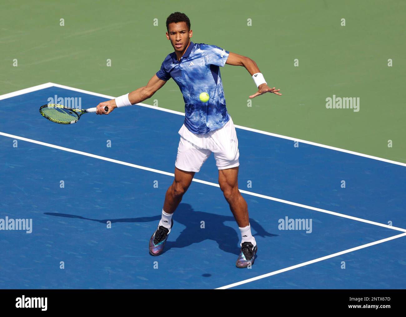 foder Kent vand blomsten Dubai, UAE, 28th..Feb, 2023. Canadian tennis player Felix Auger-Aliassime  (CAN) in action at the Dubai Duty Free Tennis Championships ATP tournament  at Dubai Duty Free Tennis Stadium on Tuesday 28 February 202., ©