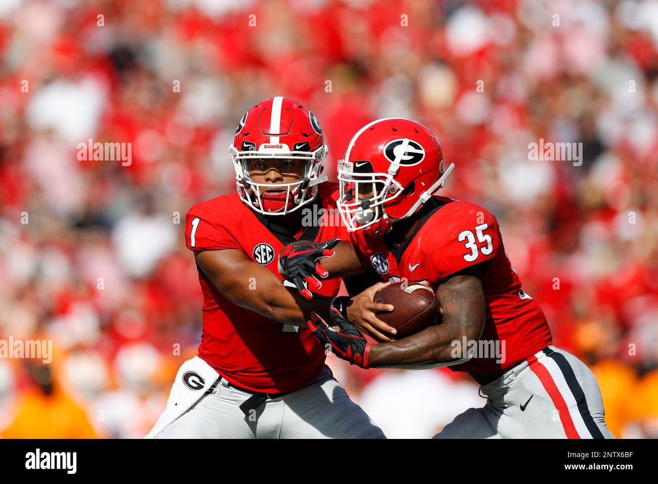 University of georgia football discount