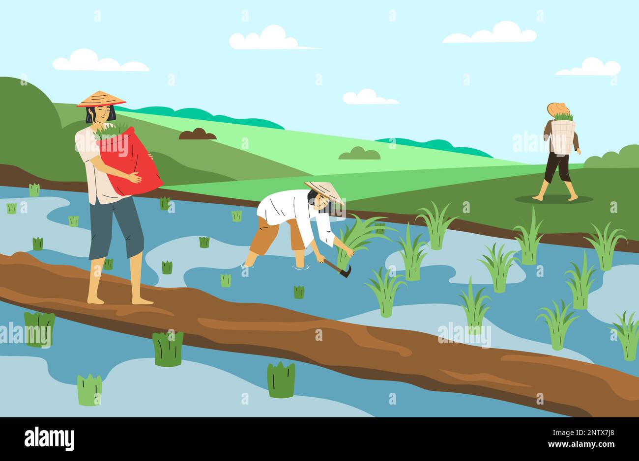 Asian farmers in conical hats working on rice field flat vector ...