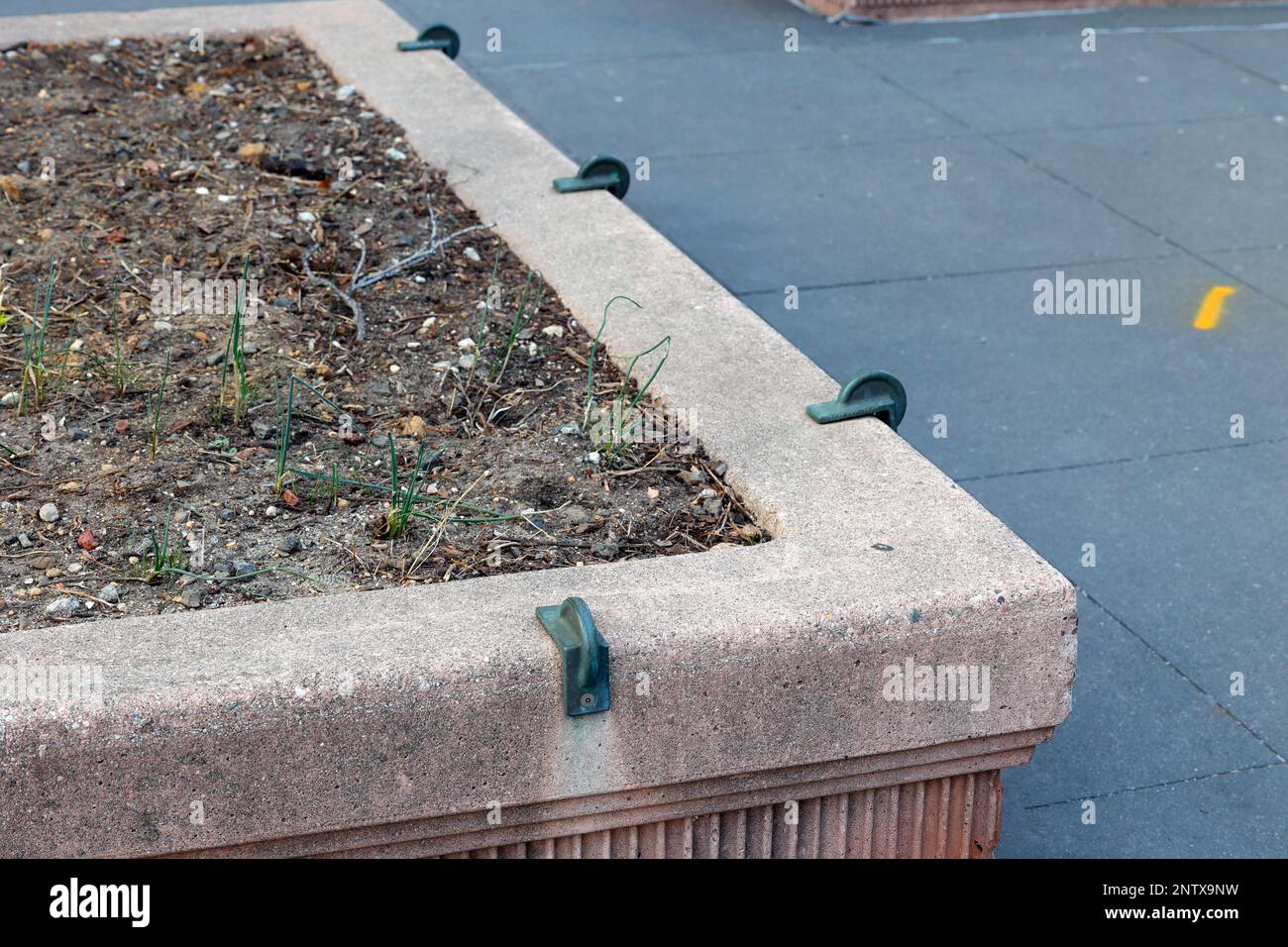 Anti skateboarding devices, or skate stoppers, surround a planter in downtown Manhattan, New York City. The devices are a form of hostile architecture Stock Photo