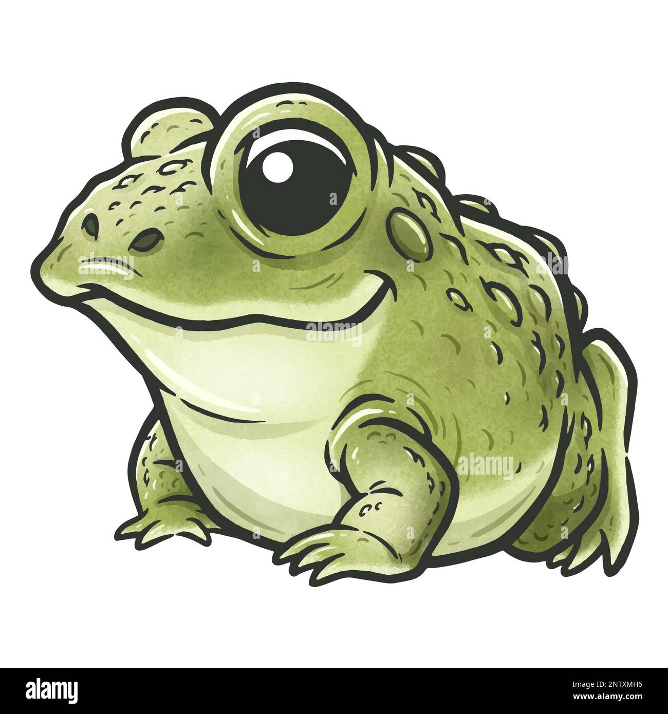 Vector illustration of Green frog cartoon Stock Vector Image & Art - Alamy