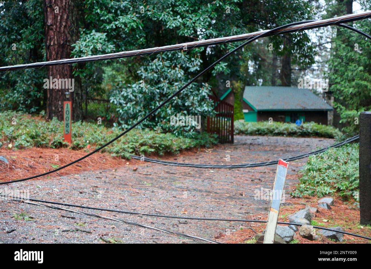Downed power, cable, and telephone lines lay across the driveway of a