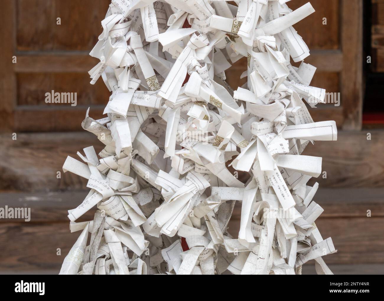 Omikuji, strips of paper with fortunes or prayers written on them, at
