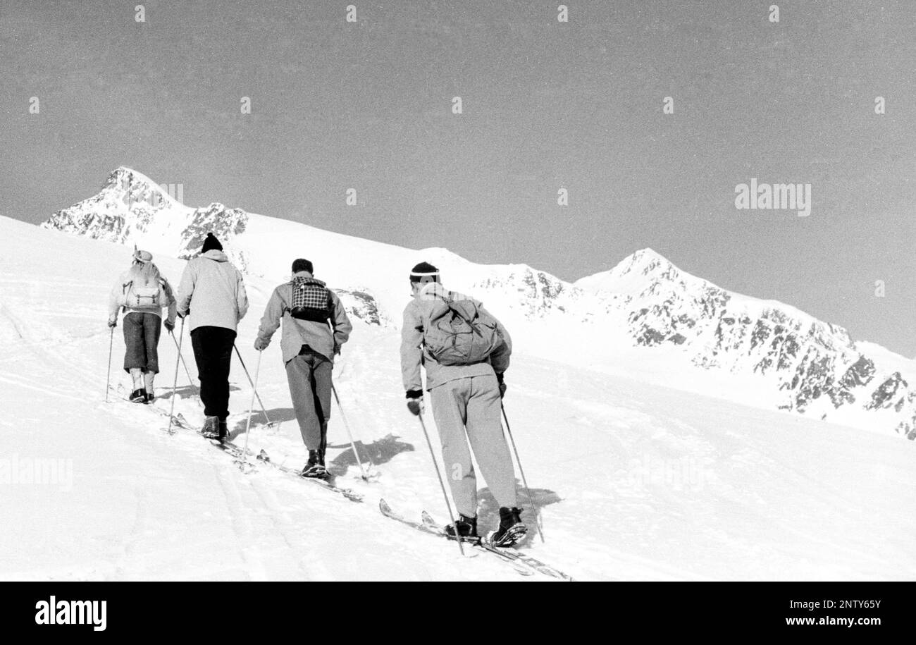 Ski tour in the 1950s, Willdspitze, Central Eastern Alps, Tyrol ...