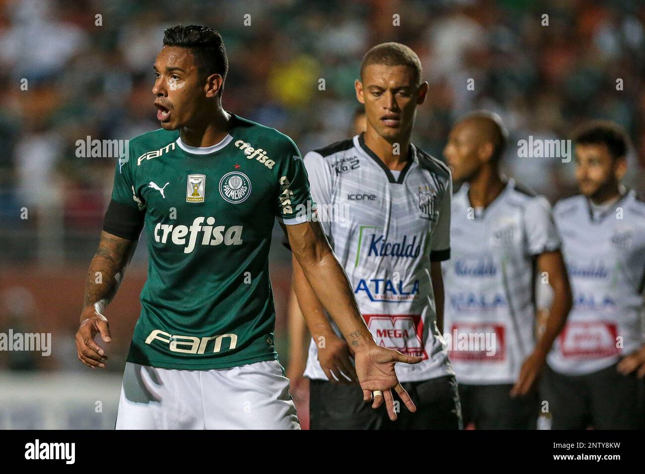 SP - Sao Paulo - 11/02/2019 - Paulista 2019 - Palmeiras X Bragantino ...